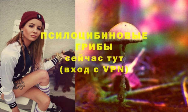 дживик Баксан